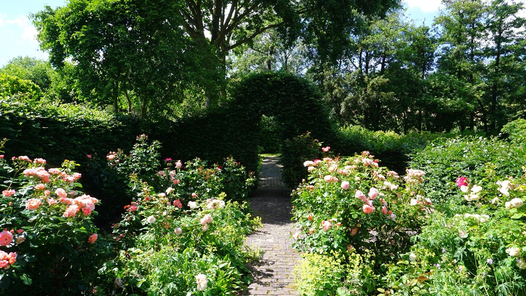 2026-06-05 14.31.09 - kopie.jpg